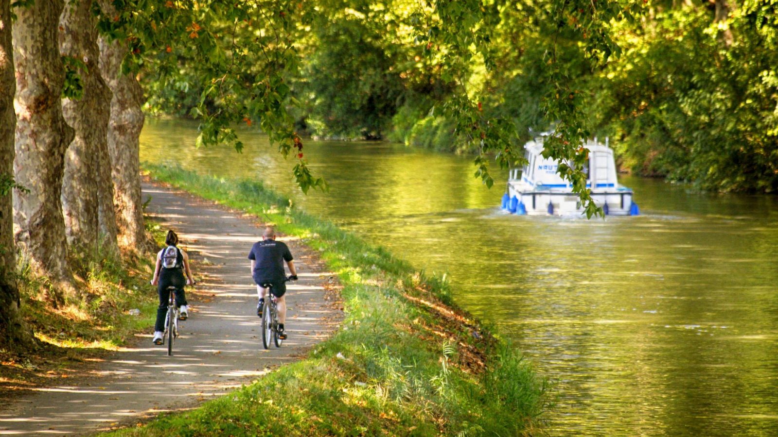 Location vélo toulouse canal du midi new arrivals