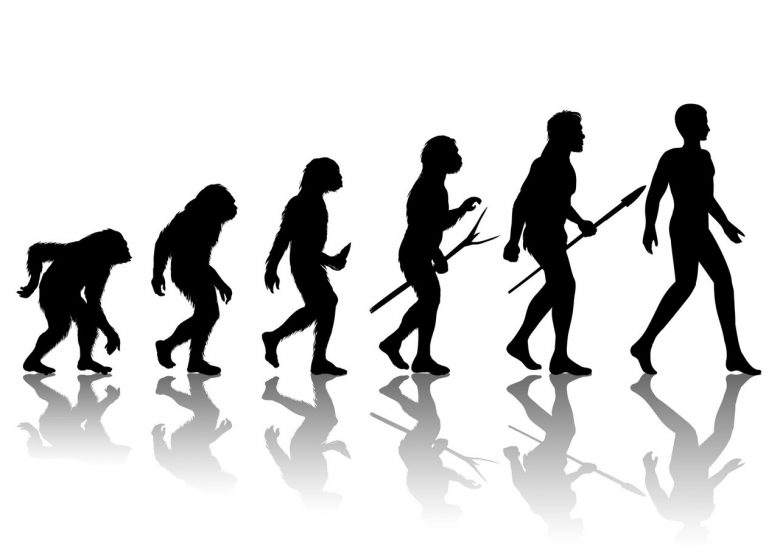 evolution-homme-developpement-croissance-progression-silhouette_1284-45677